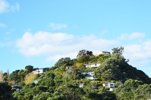 10_LeighHillByMethisonBay