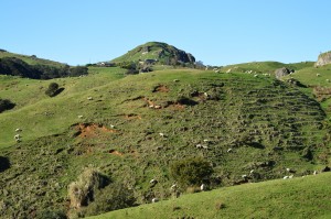 10_SomeSheepsOnAHill