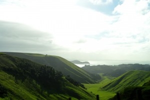 11_YetAnotherViewOnTheRoadToAwhituLightHouse_8