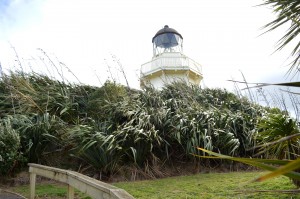 17_AnotherViewOfTheLightHouse