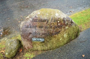 17_HaikuAlongThePath_2