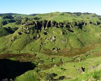 Environs de Port Waikato : Eregion