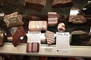 35_ZebraRocksInTheGemShop