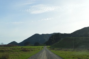 45_ShakingTheDustOnCapeRunaway'sRoad