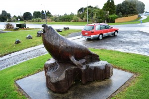 50_ASealCurvedInKatikati