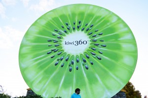 9_TheHugeKiwi-300x199