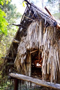 13_AnotherMaoriTreehouse