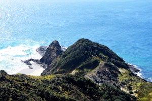 20_TheOldTreeOnRocksFace