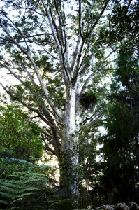 30_AlongTheNatureTrail_11