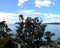 Paihia