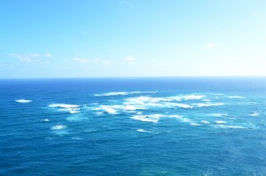 36_AnotherViewOfTheSeaAtCapRenga