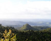 Vue depuis Rose Hellaby House