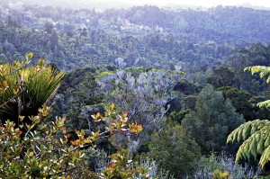 58_AlongTheNatureTrail_29