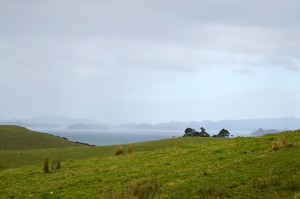 9_SomeGreenHillOnOurWayBackToKerikeri