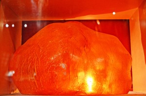 9_SomeKauriGumAtAratakiVisitorsCentre