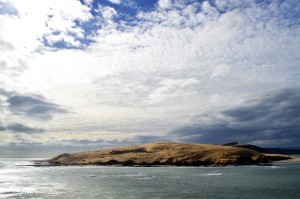 19_Omapere'sSandDunes