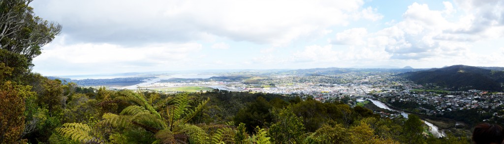 49_AnotherPanoramicOfWhangareiByTheMountParahaki