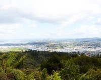 Vue depuis le Mt Parahaki