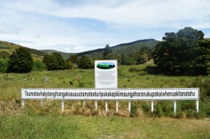 11_Taumatawhakatangihangakoauauotamateaturipukakapikimaungahoronukupokaiwhenuakitanatahu'sSign