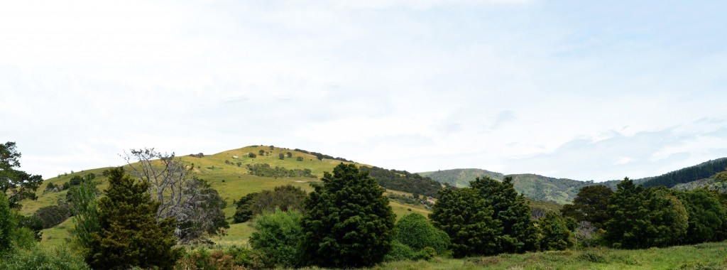 12_Taumatawhakatangihangakoauauotamateaturipukakapikimaungahoronukupokaiwhenuakitanatahu'sHill