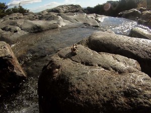 DCIM100GOPRO