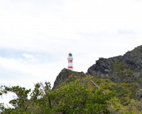 Cape Palliser