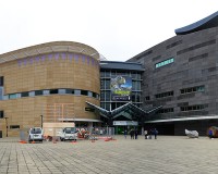 Te Papa Museum