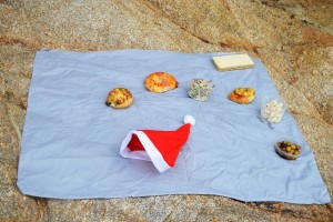 39_OurChristmasDinnerAtLittleKaiteriteri'sBeach