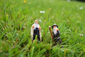 43_SaroumanAndGandalfInHartcourtPark