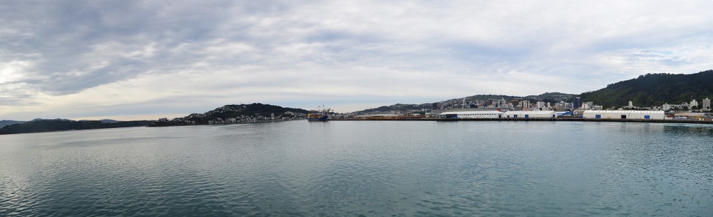 5_PanoramicOfWellingtonByTheFerry