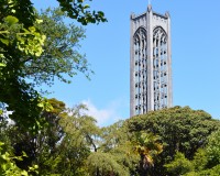 Cathédrale de Nelson