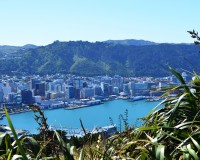 Panorama sur Wellington
