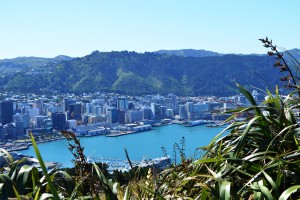 63_WellingtonByMountVictoria'sLookout