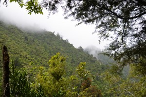 5_TheMistyMountainByRawhitiCave'sPathway