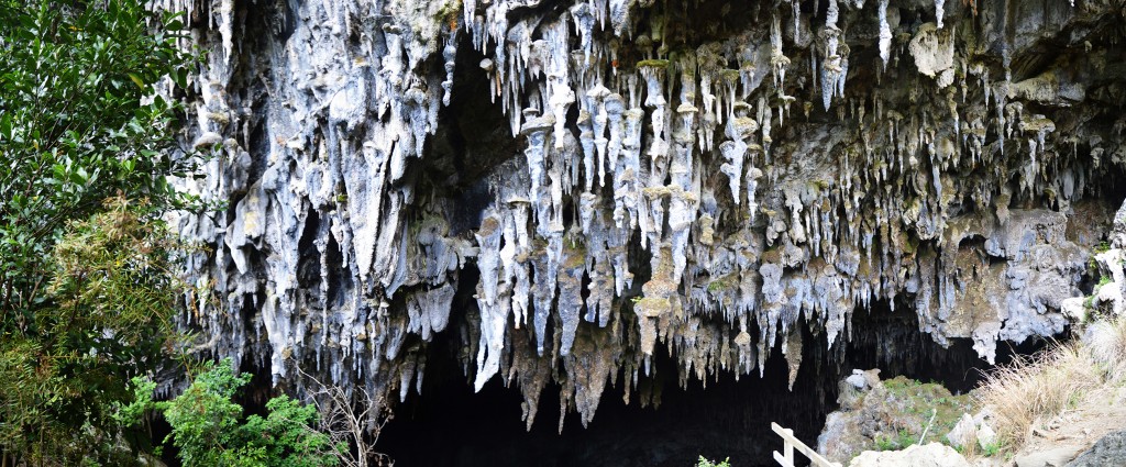 7_PanoramicOfTheEntranceOfRawhitiCave