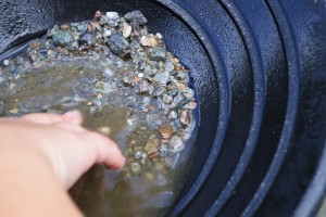 118_AnotherCloseUpOnPepiteLookingForSomeGoldAtArrowtown'sRiver