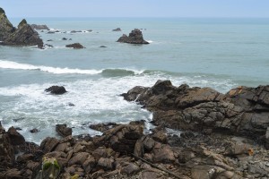 11_AnotherPartOfTheCapeFoulwind'sSealColony