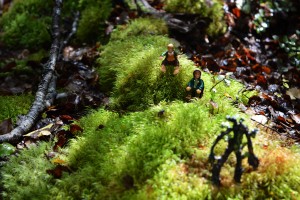 39_AndAnotherShotOfMerryPipinAndSilvebarbeAtFangorn'sForest