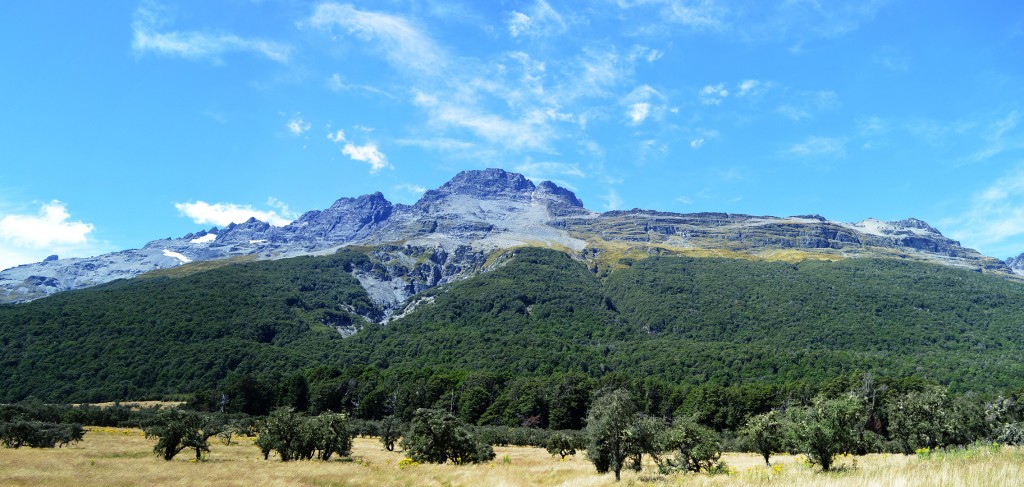 53_PanoramicByTheRoadToTheLothorien