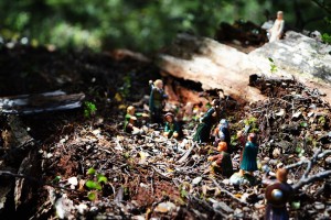 55_TheCommunityAndGaladrielleInTheLothorien