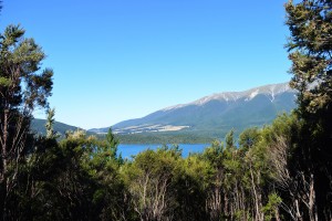 7_AnotherViewOfNelsonLake