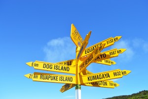 7_CloseUpOnTheBluffSigns