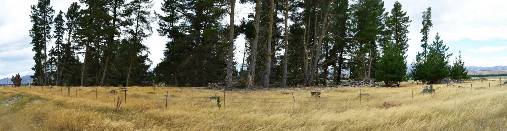 9_AnotherPanoramicOfTheRunAwayToFongorn