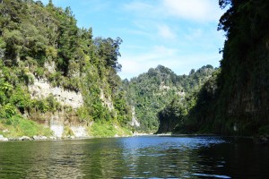 10_YetAnotherViewOfTheWhanganuiRiverAlongOurCruiseToTheBridgeToNowhere