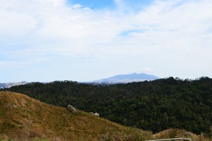 2_AnotherViewAlongTheRoadFromKawhiaToBridalVeilsFalls