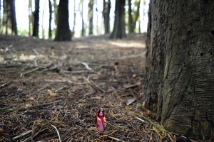 31_YetAnotherViewOfGaladrielleInTheForest