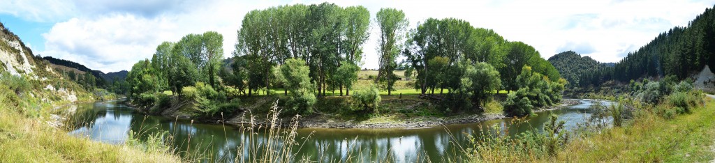36_PanoramicOfTheWhanganuiRiver