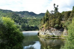 3_TheWhanganuiRiverSide