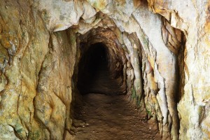 59_InsideTheTunnelInTheKarangahakeGoldMiningReserve