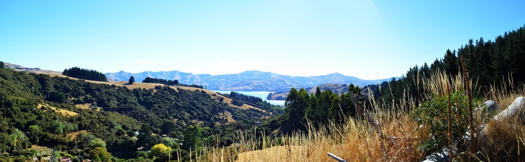 80_AnotherPanoramicOnTheWalkAroundAkaroa